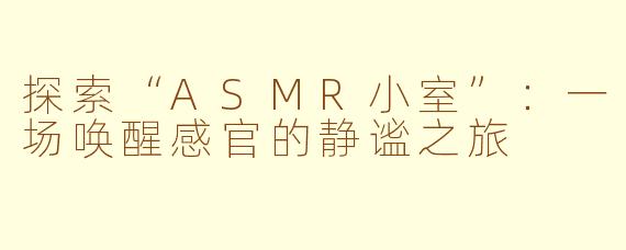 探索“ASMR小室”：一场唤醒感官的静谧之旅