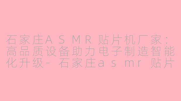 石家庄ASMR贴片机厂家：高品质设备助力电子制造智能化升级-石家庄asmr贴片机厂家
