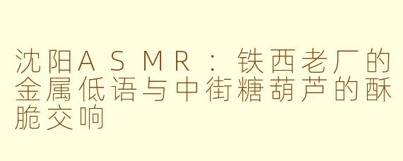沈阳ASMR：铁西老厂的金属低语与中街糖葫芦的酥脆交响