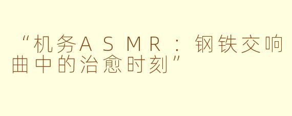 “机务ASMR:钢铁交响曲中的治愈时刻”
