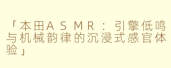 「本田ASMR：引擎低鸣与机械韵律的沉浸式感官体验」
