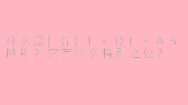 什么是(G)I-DLEASMR？它有什么特别之处？