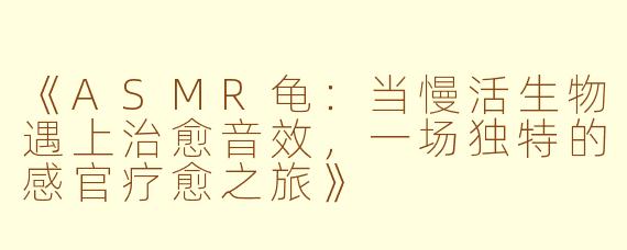 《ASMR龟：当慢活生物遇上治愈音效，一场独特的感官疗愈之旅》