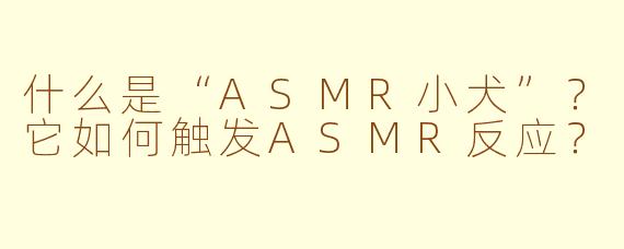 什么是“ASMR小犬”?它如何触发ASMR反应?