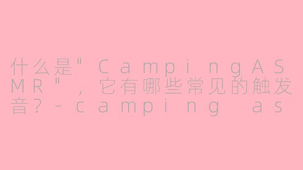 什么是