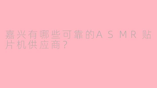 嘉兴有哪些可靠的ASMR贴片机供应商?