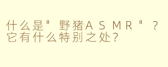 什么是