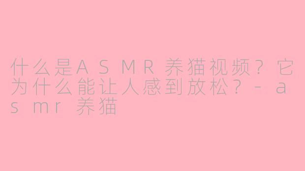 什么是ASMR养猫视频？它为什么能让人感到放松？-asmr养猫
