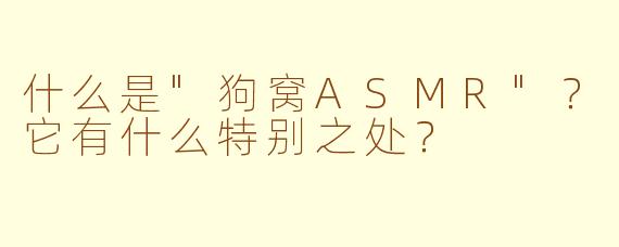 什么是