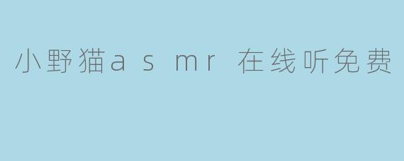 小野猫asmr在线听免费