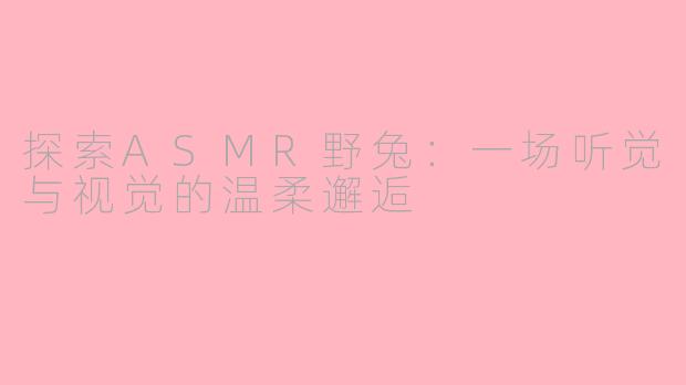 探索ASMR野兔：一场听觉与视觉的温柔邂逅