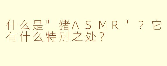 什么是