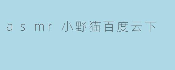 asmr小野猫百度云下
