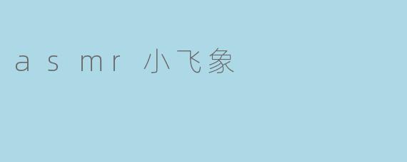 asmr小飞象