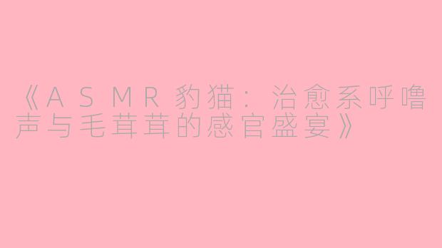 《ASMR豹猫：治愈系呼噜声与毛茸茸的感官盛宴》