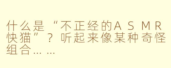 什么是“不正经的ASMR快猫”?听起来像某种奇怪组合……