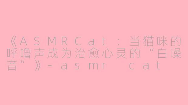 《ASMRCat：当猫咪的呼噜声成为治愈心灵的“白噪音”》-asmr cat