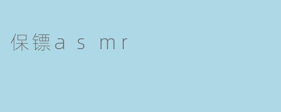 保镖asmr