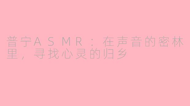 普宁ASMR：在声音的密林里，寻找心灵的归乡