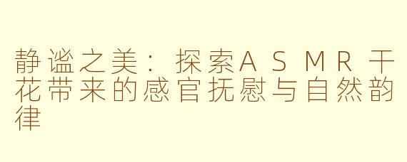 静谧之美:探索ASMR干花带来的感官抚慰与自然韵律