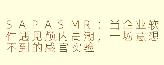 SAPASMR：当企业软件遇见颅内高潮，一场意想不到的感官实验