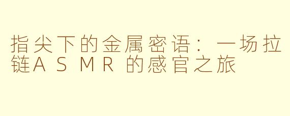 指尖下的金属密语：一场拉链ASMR的感官之旅