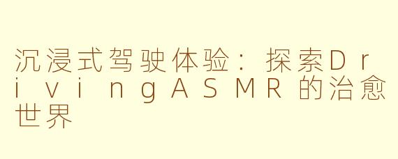 沉浸式驾驶体验：探索DrivingASMR的治愈世界