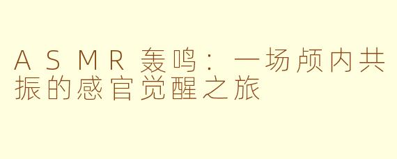 ASMR轰鸣：一场颅内共振的感官觉醒之旅