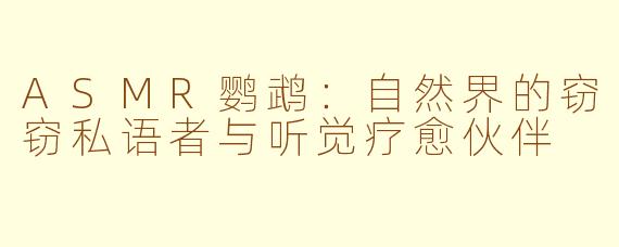 ASMR鹦鹉：自然界的窃窃私语者与听觉疗愈伙伴