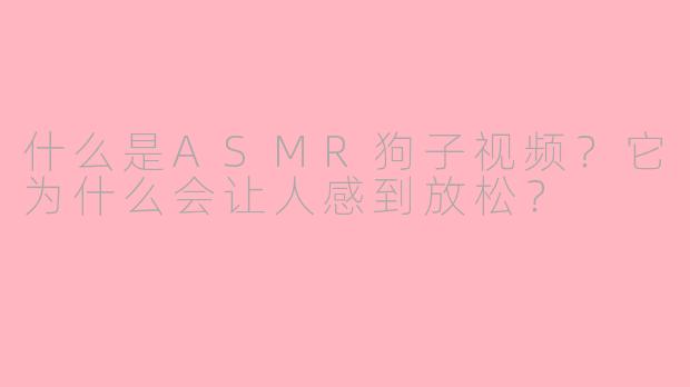 什么是ASMR狗子视频？它为什么会让人感到放松？