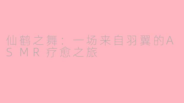 仙鹤之舞:一场来自羽翼的ASMR疗愈之旅