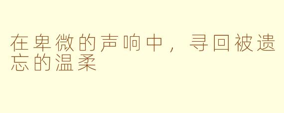 在卑微的声响中,寻回被遗忘的温柔