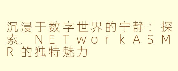 沉浸于数字世界的宁静:探索.NETworkASMR的独特魅力
