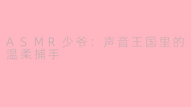 ASMR少爷：声音王国里的温柔捕手