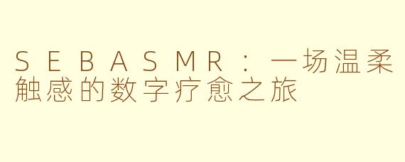 SEBASMR：一场温柔触感的数字疗愈之旅