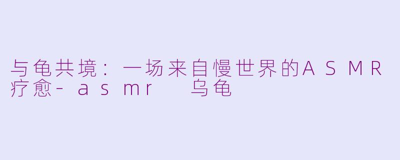 与龟共境:一场来自慢世界的ASMR疗愈-asmr 乌龟