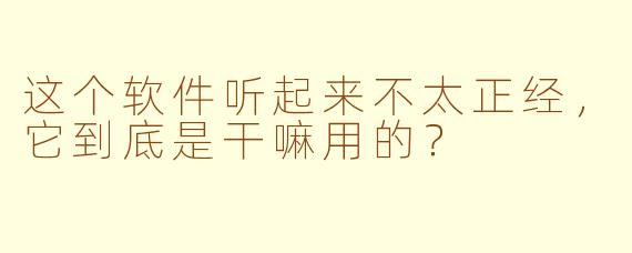 这个软件听起来不太正经,它到底是干嘛用的?