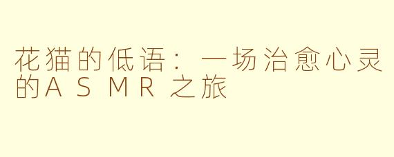 花猫的低语：一场治愈心灵的ASMR之旅