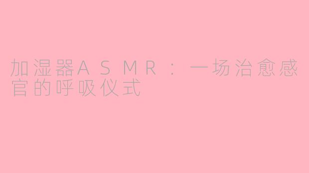 加湿器ASMR：一场治愈感官的呼吸仪式