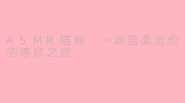 ASMR猫熊：一场温柔治愈的感官之旅