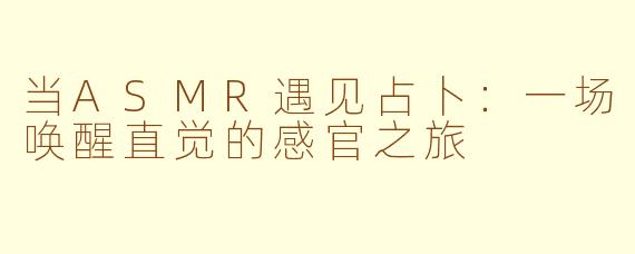 当ASMR遇见占卜：一场唤醒直觉的感官之旅