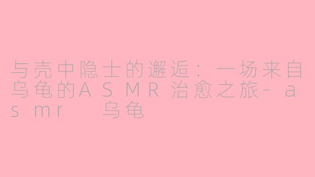 与壳中隐士的邂逅：一场来自乌龟的ASMR治愈之旅-asmr 乌龟