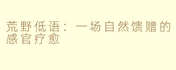 荒野低语：一场自然馈赠的感官疗愈