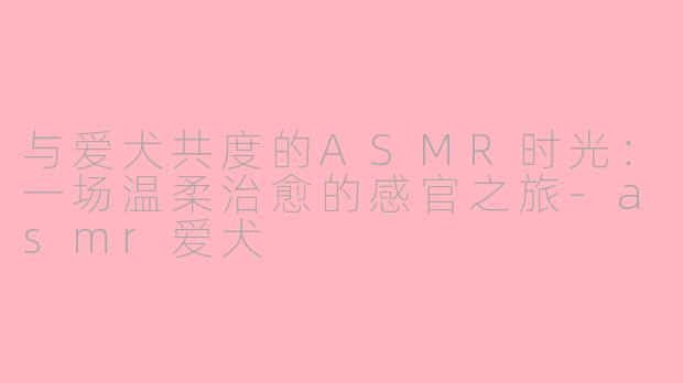 与爱犬共度的ASMR时光:一场温柔治愈的感官之旅
