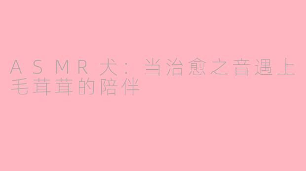 ASMR犬：当治愈之音遇上毛茸茸的陪伴