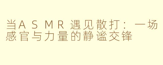 当ASMR遇见散打:一场感官与力量的静谧交锋