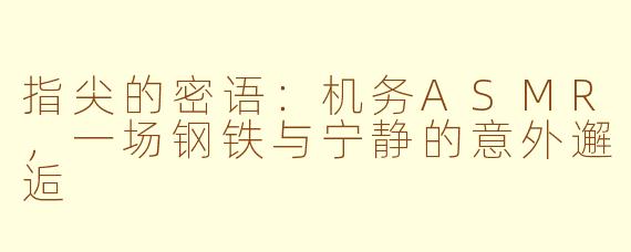 指尖的密语：机务ASMR，一场钢铁与宁静的意外邂逅