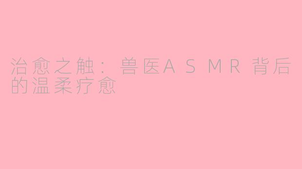治愈之触：兽医ASMR背后的温柔疗愈