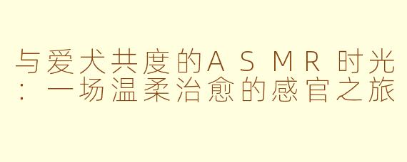 与爱犬共度的ASMR时光：一场温柔治愈的感官之旅