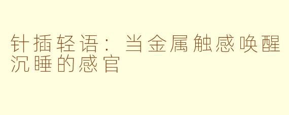 针插轻语:当金属触感唤醒沉睡的感官